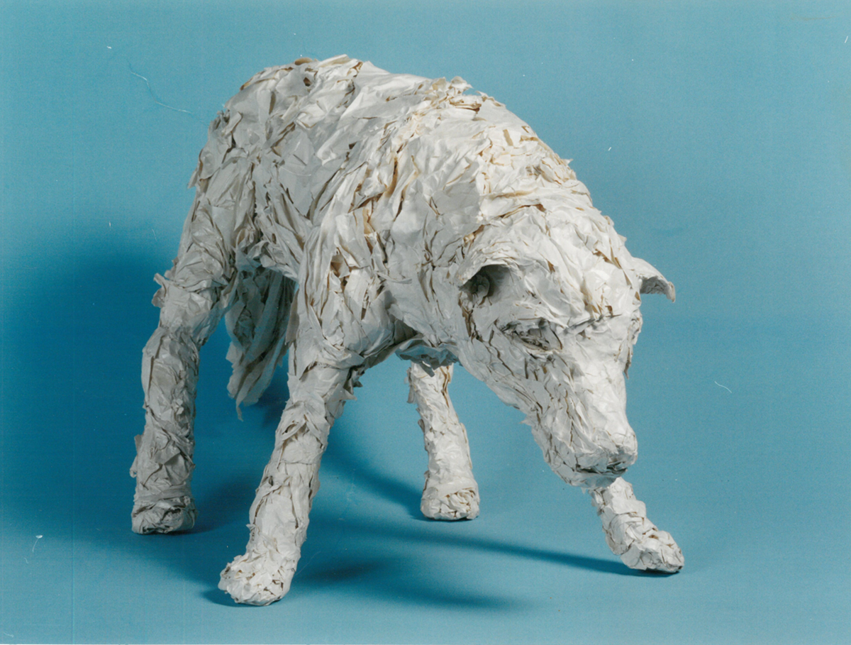 Paper Raz פסלי נייר - More paper works - אביביה רז- אומנות Avivya Raz- art